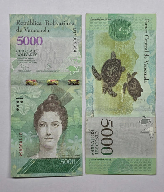 Venezuela 5,000 Bolívares Fuertes (2016 Hyperinflation Issue / Luisa Cáceres de